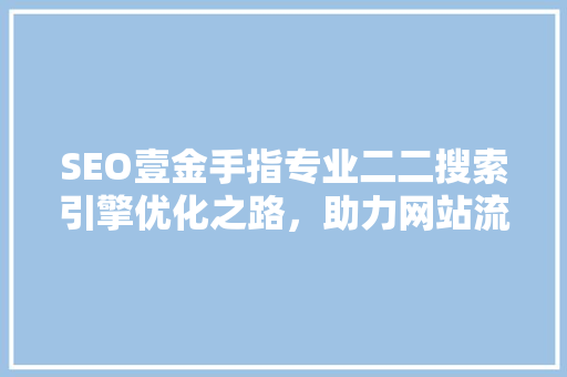 SEO壹金手指专业二二搜索引擎优化之路，助力网站流量飙升