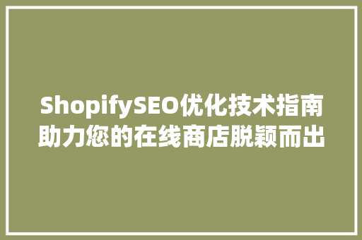 ShopifySEO优化技术指南助力您的在线商店脱颖而出