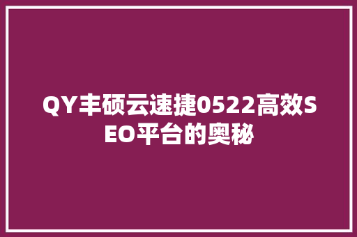QY丰硕云速捷0522高效SEO平台的奥秘