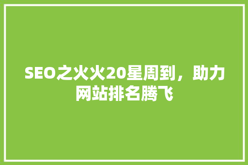 SEO之火火20星周到，助力网站排名腾飞