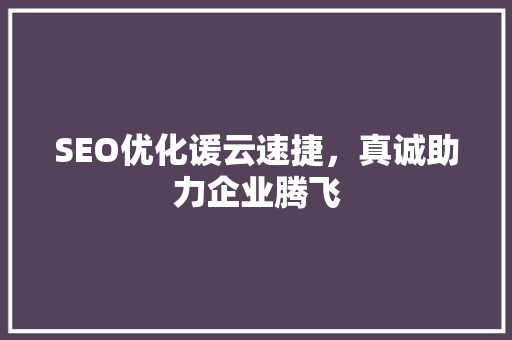 SEO优化谖云速捷，真诚助力企业腾飞
