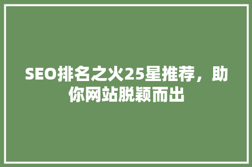 SEO排名之火25星推荐，助你网站脱颖而出