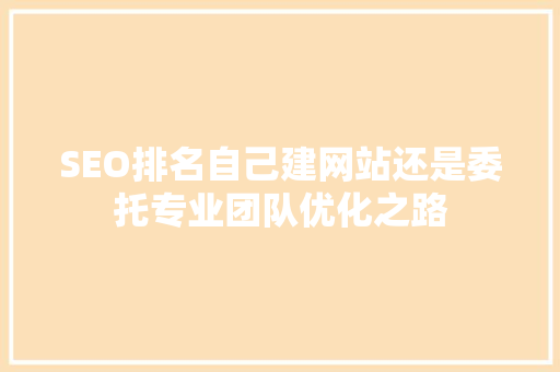 SEO排名自己建网站还是委托专业团队优化之路