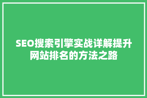 SEO搜索引擎实战详解提升网站排名的方法之路