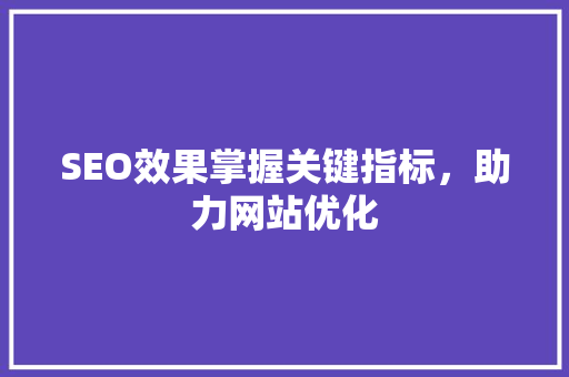 SEO效果掌握关键指标，助力网站优化