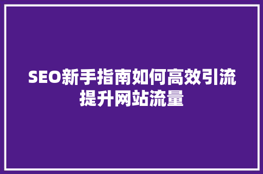 SEO新手指南如何高效引流提升网站流量