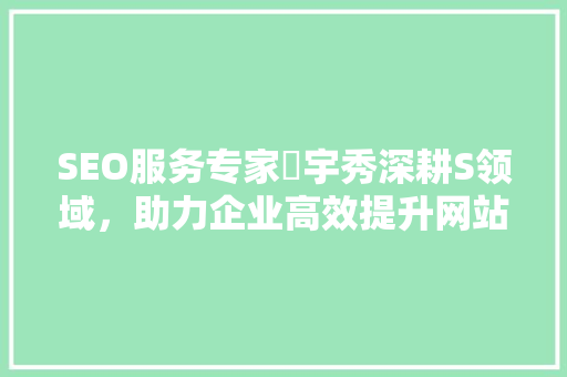 SEO服务专家冎宇秀深耕S领域，助力企业高效提升网站排名