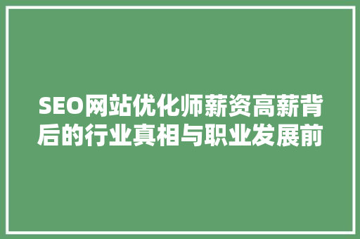 SEO网站优化师薪资高薪背后的行业真相与职业发展前景