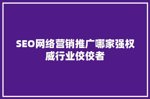SEO网络营销推广哪家强权威行业佼佼者