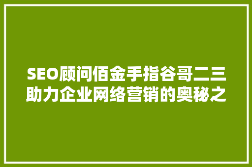 SEO顾问佰金手指谷哥二三助力企业网络营销的奥秘之路