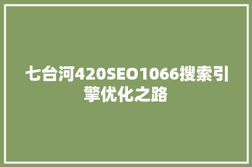 七台河420SEO1066搜索引擎优化之路