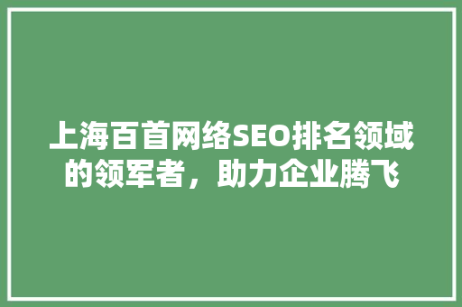 上海百首网络SEO排名领域的领军者，助力企业腾飞