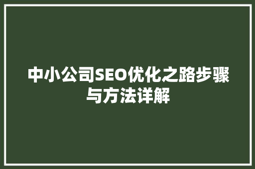 中小公司SEO优化之路步骤与方法详解