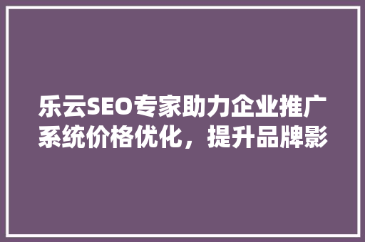 乐云SEO专家助力企业推广系统价格优化，提升品牌影响力