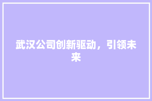 武汉公司创新驱动，引领未来