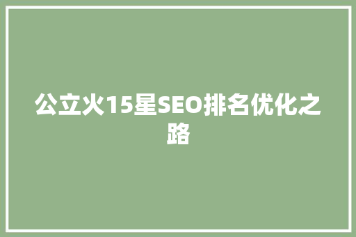 公立火15星SEO排名优化之路