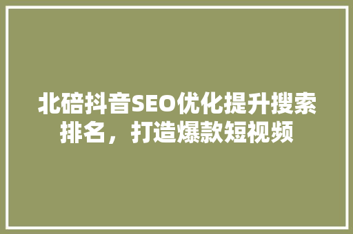 北碚抖音SEO优化提升搜索排名，打造爆款短视频