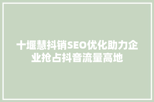 十堰慧抖销SEO优化助力企业抢占抖音流量高地