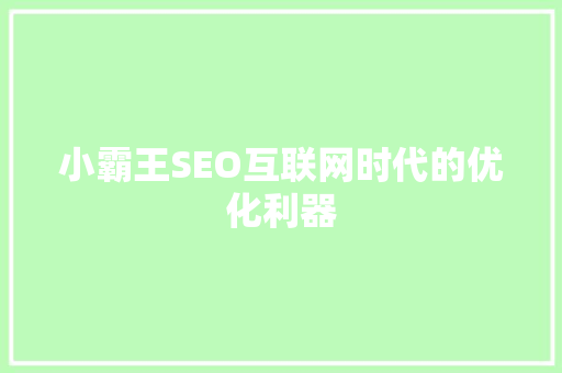 小霸王SEO互联网时代的优化利器