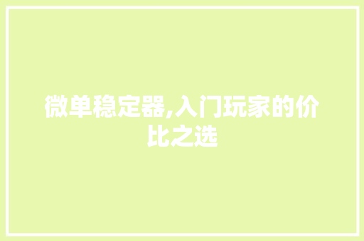 微单稳定器,入门玩家的价比之选