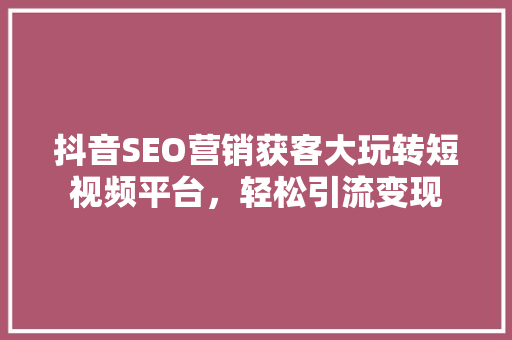 抖音SEO营销获客大玩转短视频平台，轻松引流变现