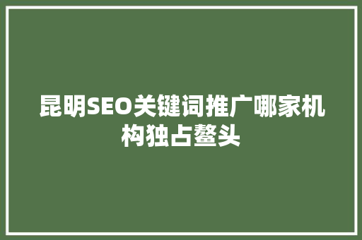 昆明SEO关键词推广哪家机构独占鳌头