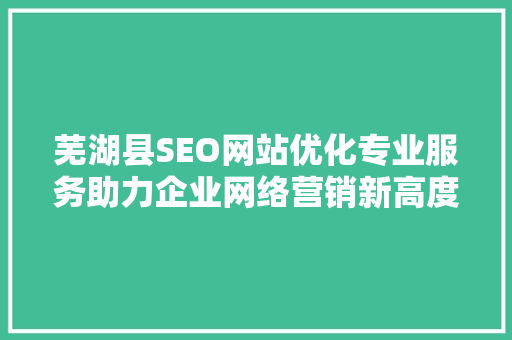 芜湖县SEO网站优化专业服务助力企业网络营销新高度