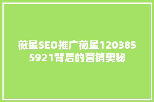 薇星SEO推广薇星1203855921背后的营销奥秘