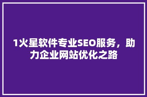 1火星软件专业SEO服务，助力企业网站优化之路