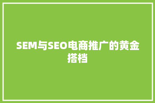 SEM与SEO电商推广的黄金搭档