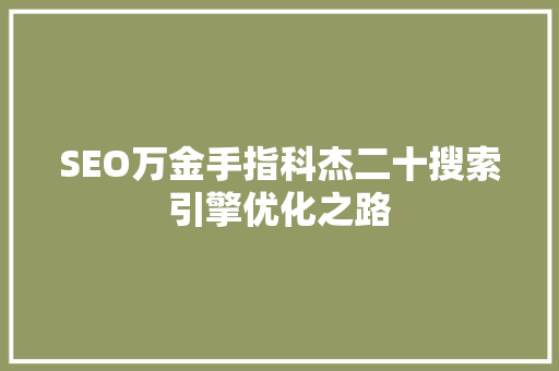 SEO万金手指科杰二十搜索引擎优化之路