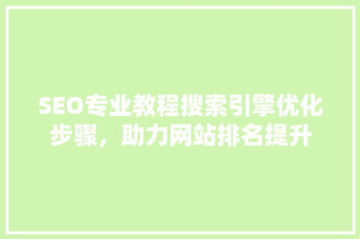 SEO专业教程搜索引擎优化步骤，助力网站排名提升