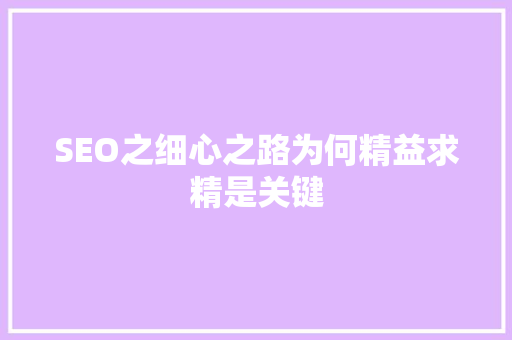 SEO之细心之路为何精益求精是关键