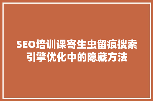 SEO培训课寄生虫留痕搜索引擎优化中的隐藏方法