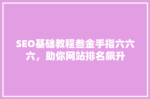 SEO基础教程叁金手指六六六，助你网站排名飙升  第1张