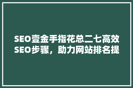 SEO壹金手指花总二七高效SEO步骤，助力网站排名提升  第1张