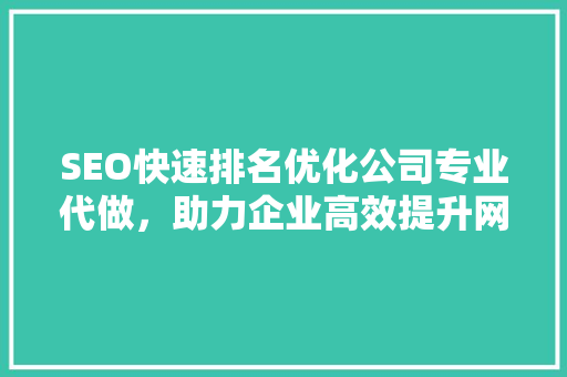 SEO快速排名优化公司专业代做，助力企业高效提升网站流量  第1张