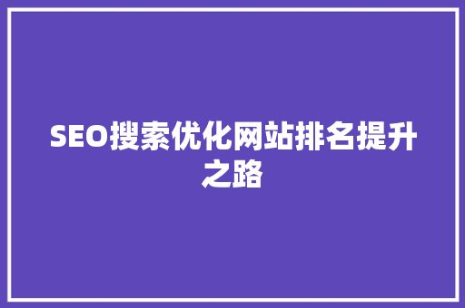 SEO搜索优化网站排名提升之路