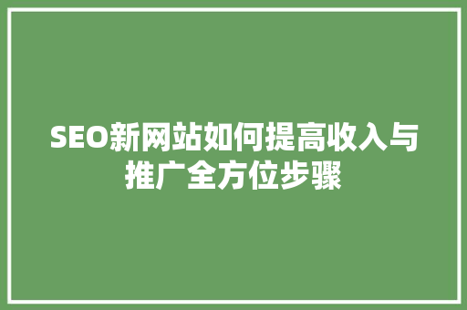 SEO新网站如何提高收入与推广全方位步骤