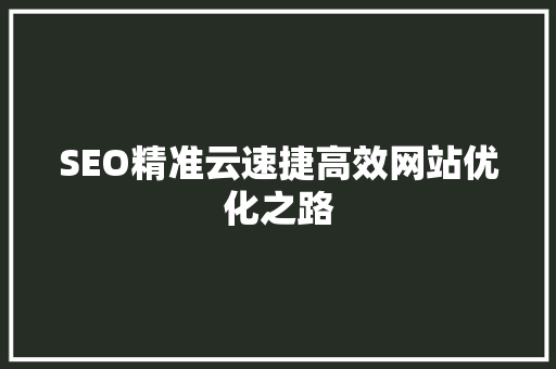 SEO精准云速捷高效网站优化之路