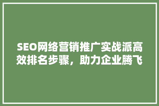 SEO网络营销推广实战派高效排名步骤，助力企业腾飞
