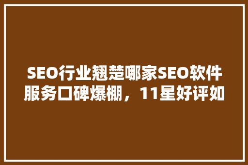 SEO行业翘楚哪家SEO软件服务口碑爆棚，11星好评如潮