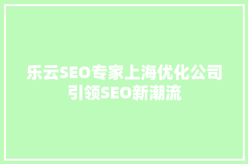 乐云SEO专家上海优化公司引领SEO新潮流