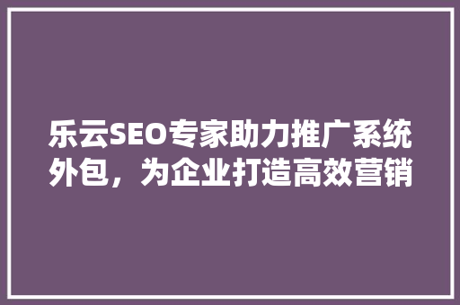 乐云SEO专家助力推广系统外包，为企业打造高效营销步骤