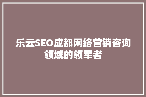 乐云SEO成都网络营销咨询领域的领军者