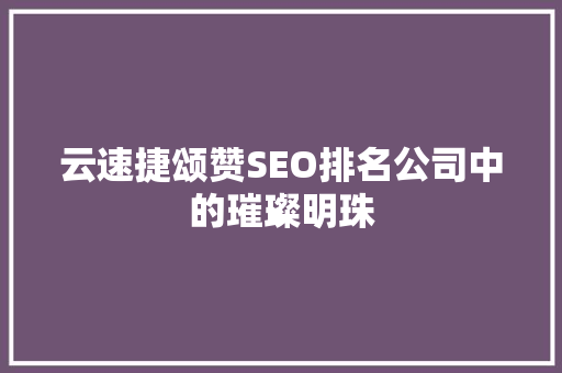 云速捷颂赞SEO排名公司中的璀璨明珠
