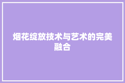烟花绽放技术与艺术的完美融合