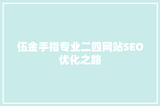 伍金手指专业二四网站SEO优化之路