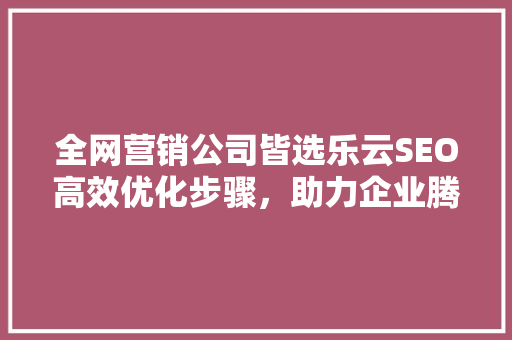 全网营销公司皆选乐云SEO高效优化步骤，助力企业腾飞