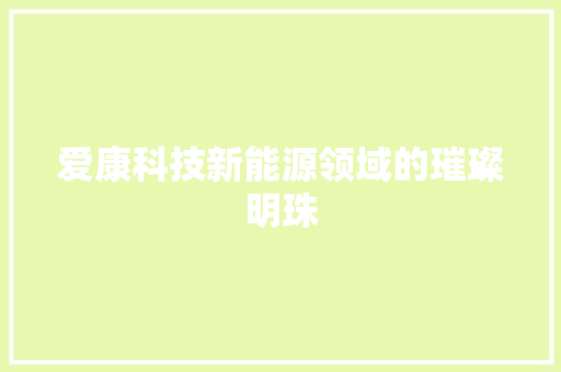 爱康科技新能源领域的璀璨明珠